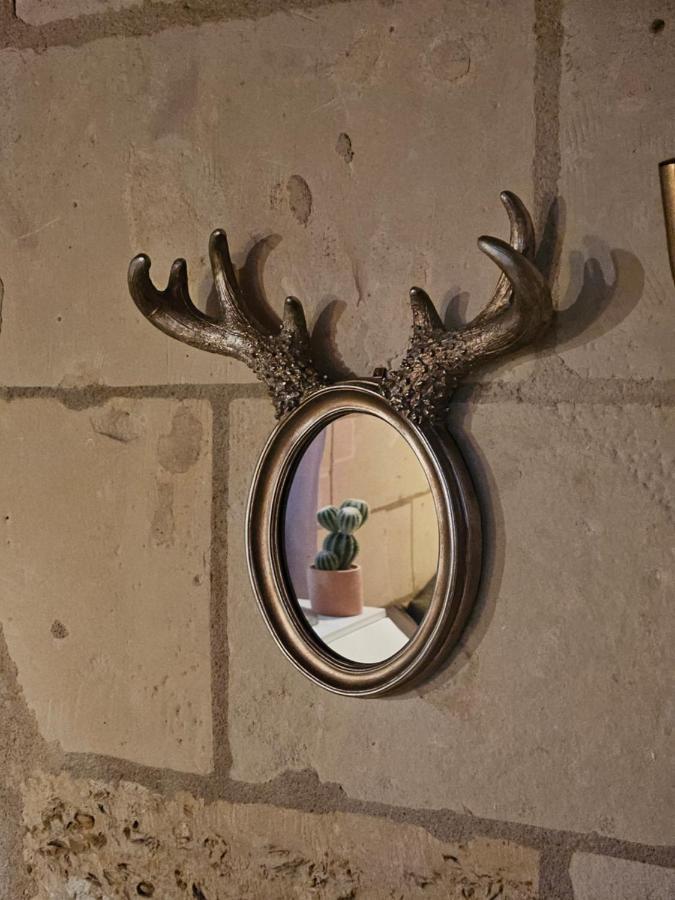 Hotel Robin Quantin In The Heart Of Old Tours Extérieur photo